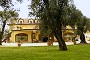 Uliveto Principessa Park Hotel - Cittanova - Calabria